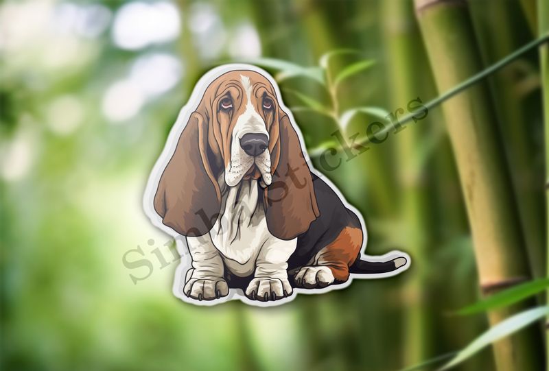 Basset Hound dog