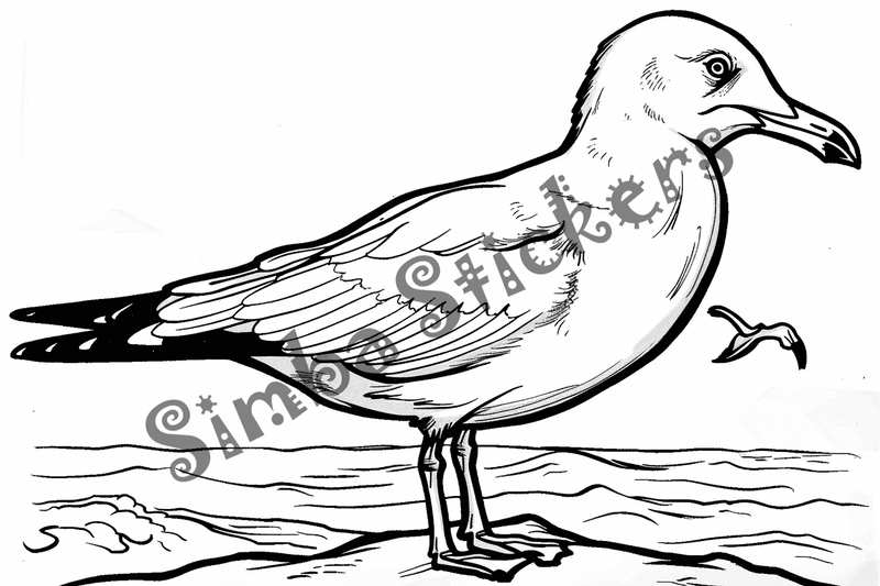 Colouring pages, bundle of seagulls 3, 25 images