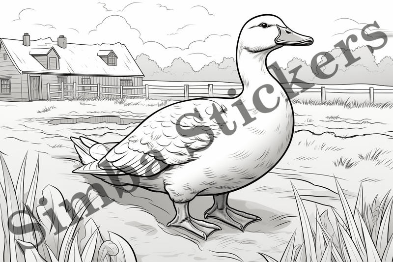 Colouring pages, Bundle of ducks, 10 images