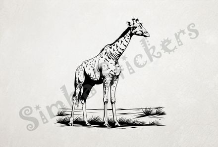 Giraffe standing tall in shrubs, outline art