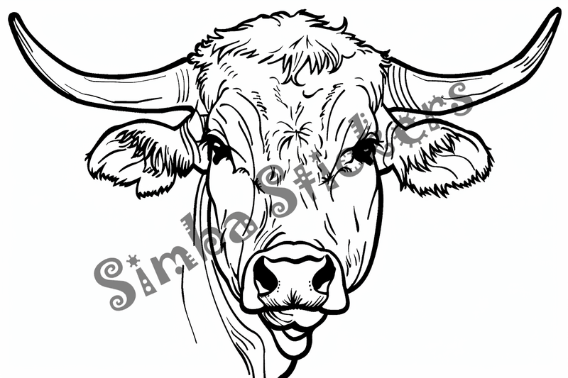 Colouring pages, bundle of cattle bulls, 10 images