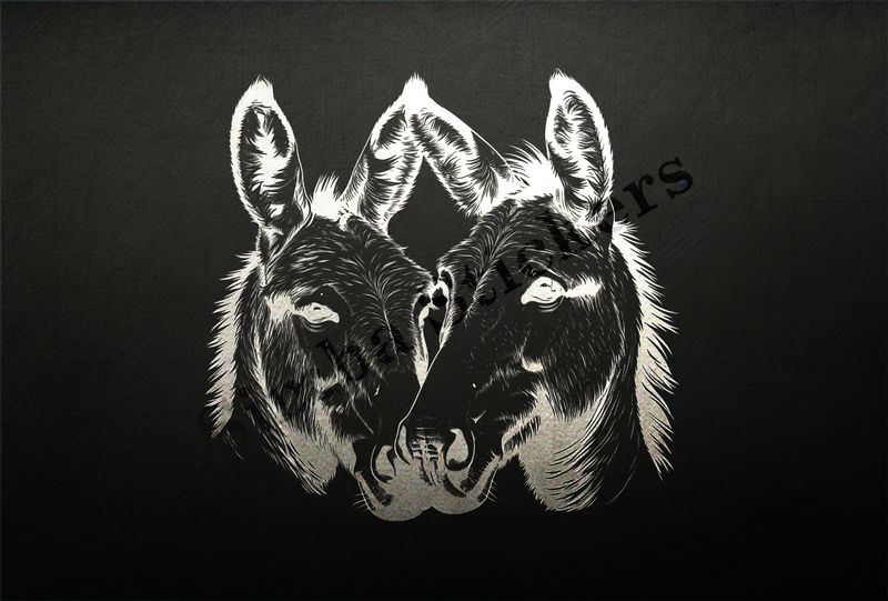 Donkeys in love, nose-to-nose, outline art