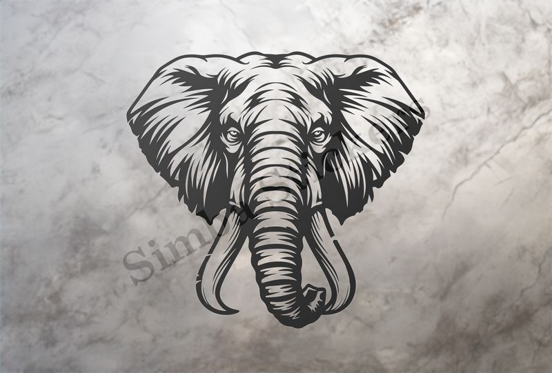 Elephant, face with large trunk and tusks, outline art