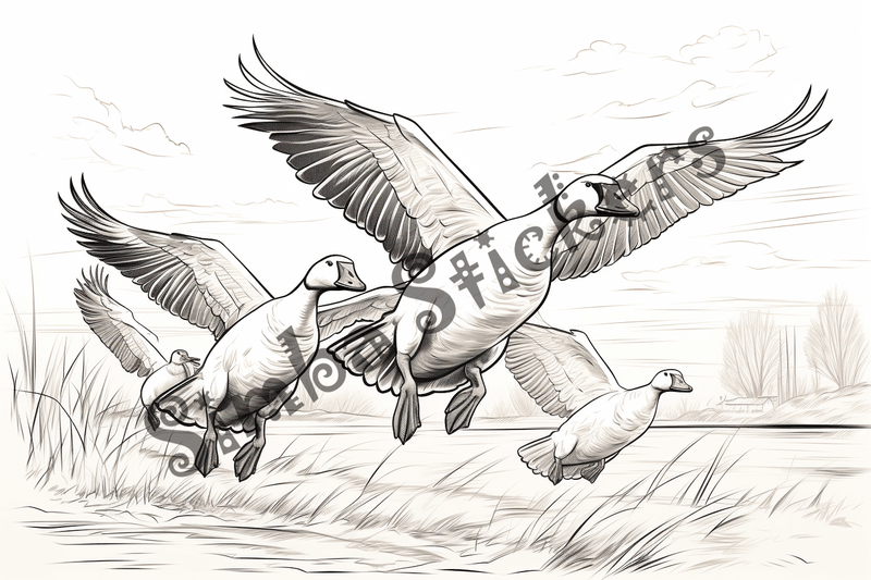 Colouring pages, bundle of geese flying, 10 images