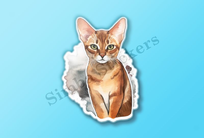 Abyssinian Cat, watercolour