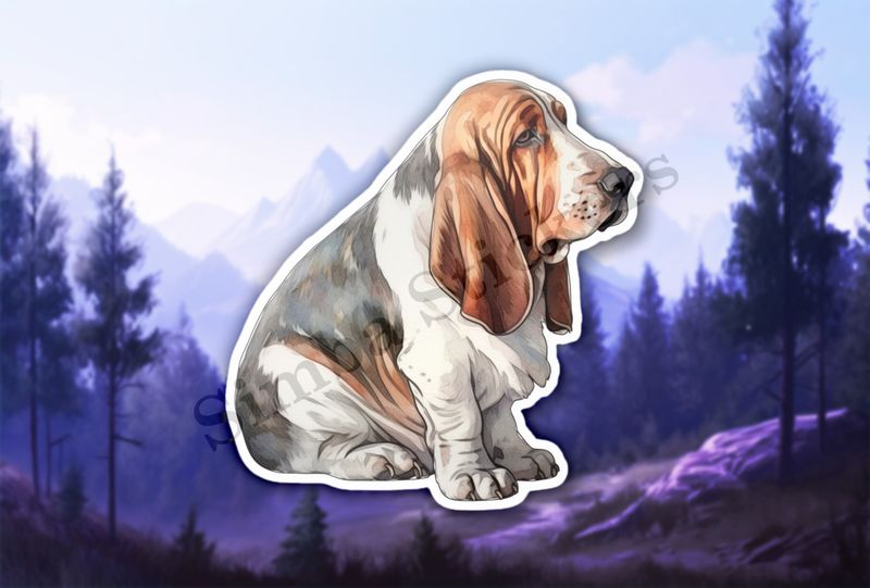 Basset Hound dog, watercolour