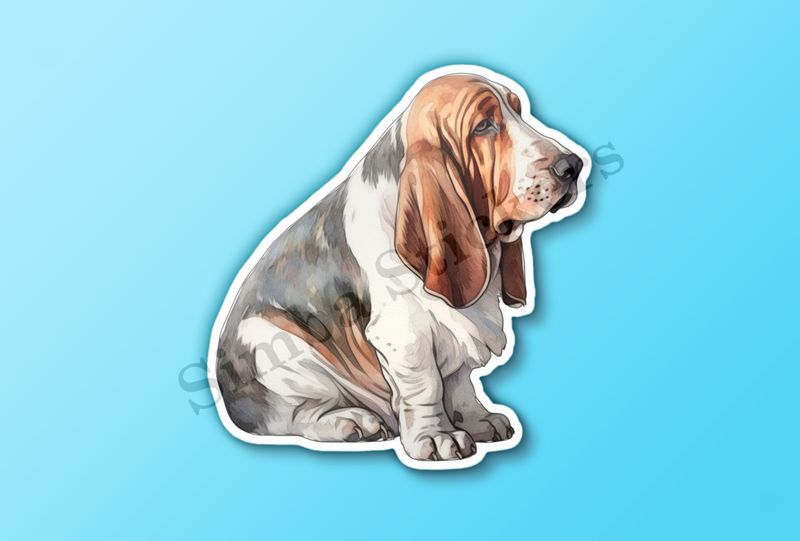 Basset Hound dog, watercolour