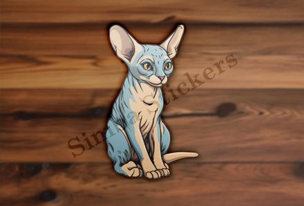 Sphynx cat sitting