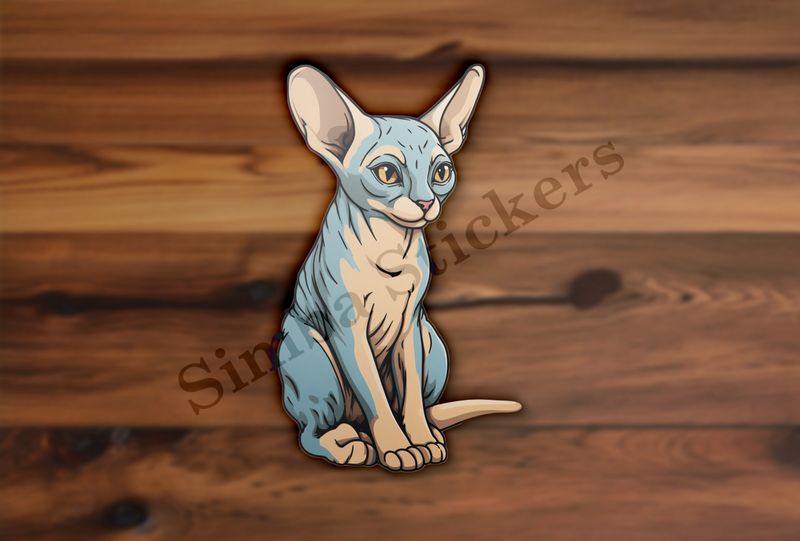 Sphynx cat sitting