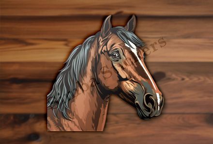 Brown horse , side glance, nd2qsc