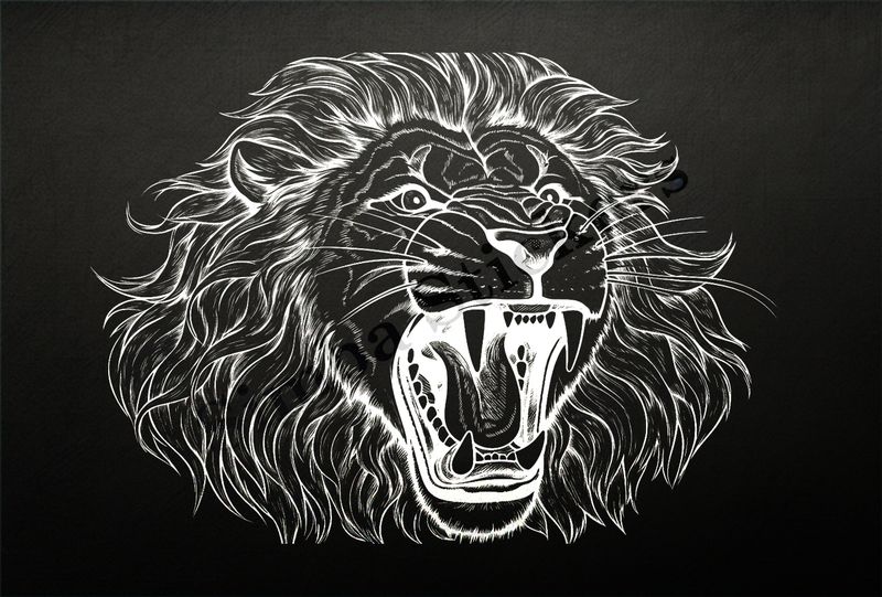 Lion roaring, head, outline art