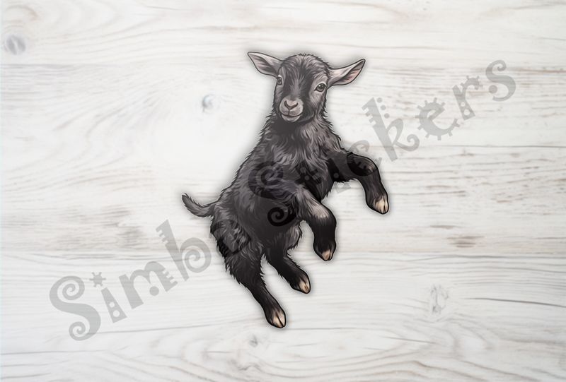 Black goat kid jumping