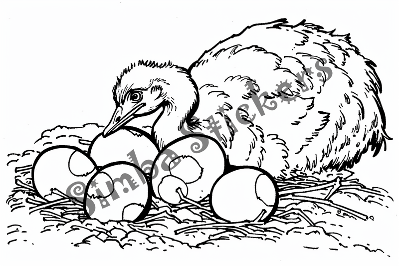 Colouring pages, bundle of ostriches, 25 images