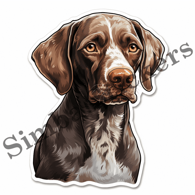 German Shorthaired Pointer dogs, image set, 10 images