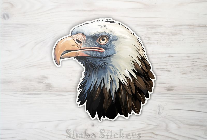 Vulture head, ju8enp