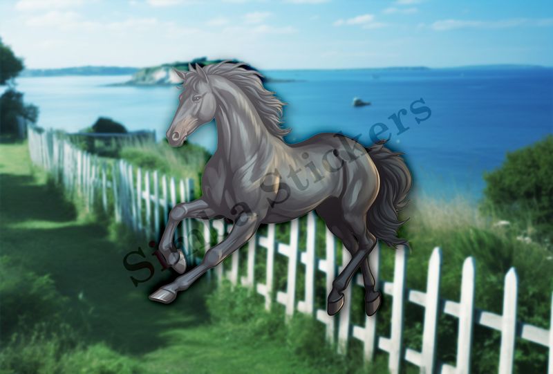 Black horse running