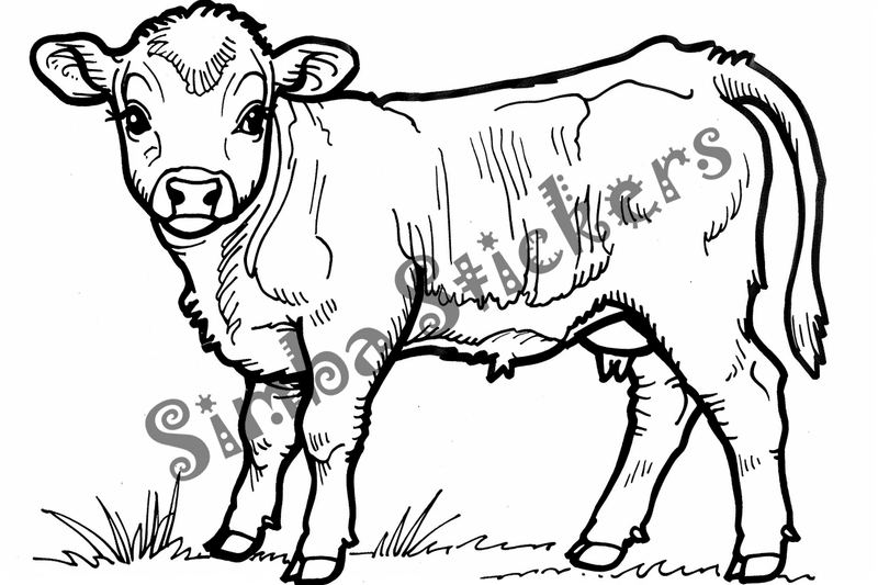 Colouring pages, bundle of cattle, 25 images