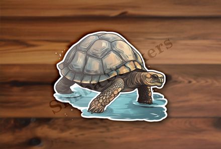 Tortoise walking in shallow water