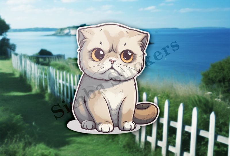 Scottish Fold cat