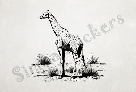 Giraffe standing in shrubs, outline art