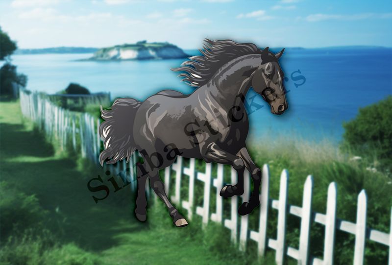 Black horse running