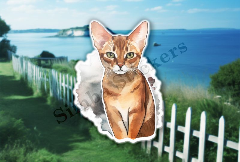 Abyssinian Cat, watercolour