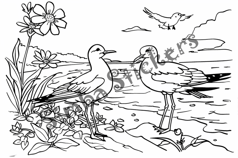 Colouring pages, bundle of seagulls on the seaside, 10 images