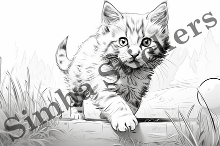 Colouring pages, Bundle of cats, 10 images