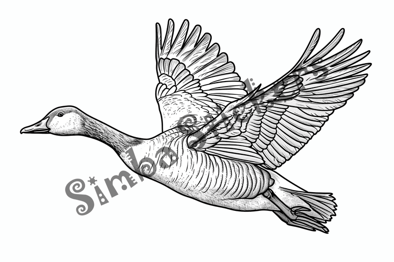 Colouring pages, bundle of geese flying, 10 images