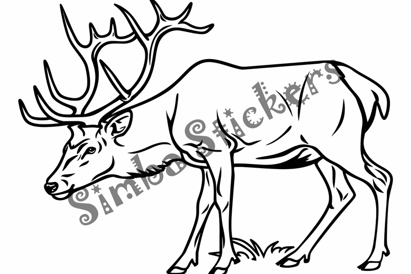 Colouring pages, bundle of singular elks, 10 images