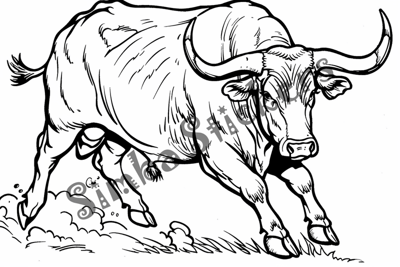 Colouring pages, bundle of cattle bulls, 10 images
