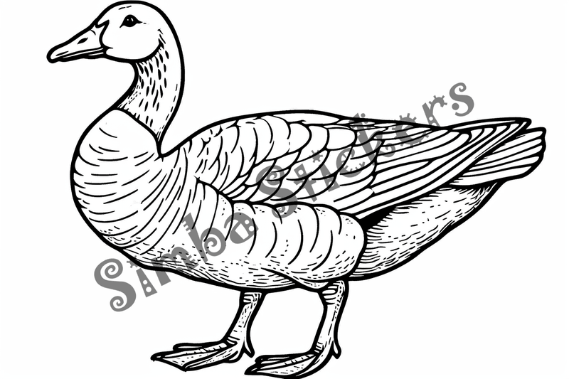 Colouring pages, bundle of geese, 25 images