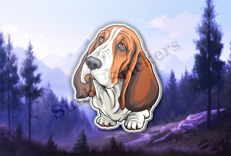 Basset Hound dog