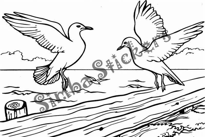 Colouring pages, bundle of seagulls 2, 25 images