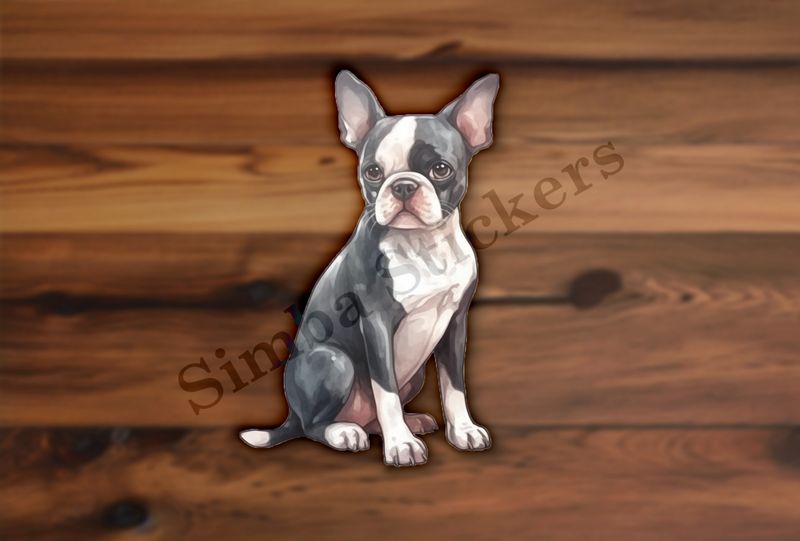 Boston Terrier dog sitting, watercolour