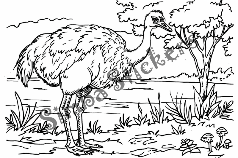 Colouring pages, bundle of ostriches, 50 images