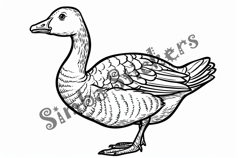 Colouring pages, bundle of geese, 25 images