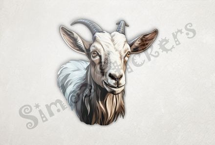 White goat look straight ahead