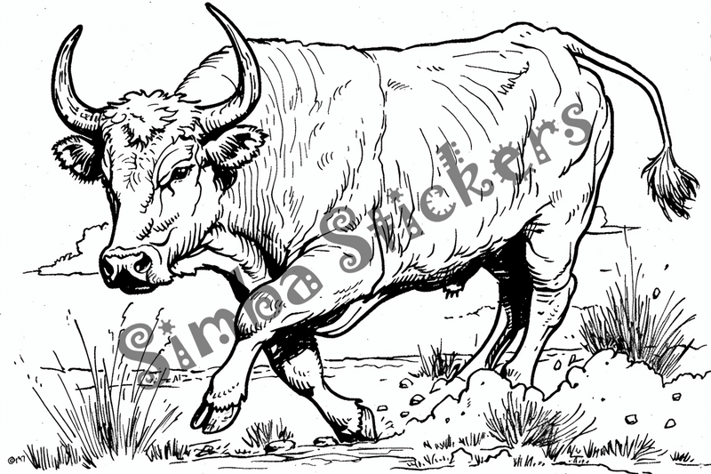 Colouring pages, bundle of cattle bulls, 10 images