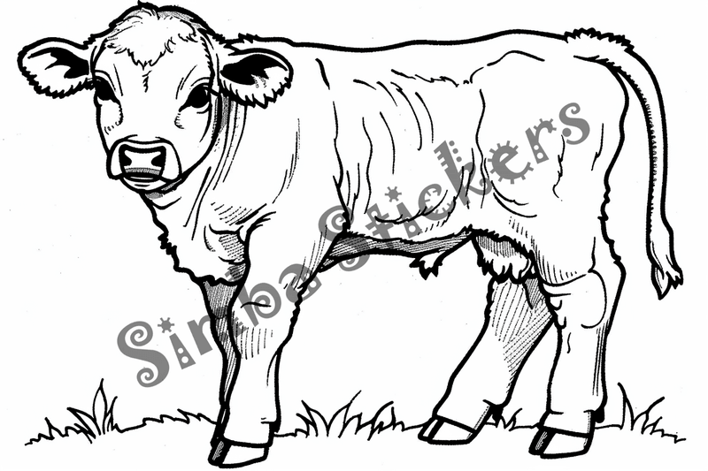 Colouring pages, bundle of cattle, 50 images