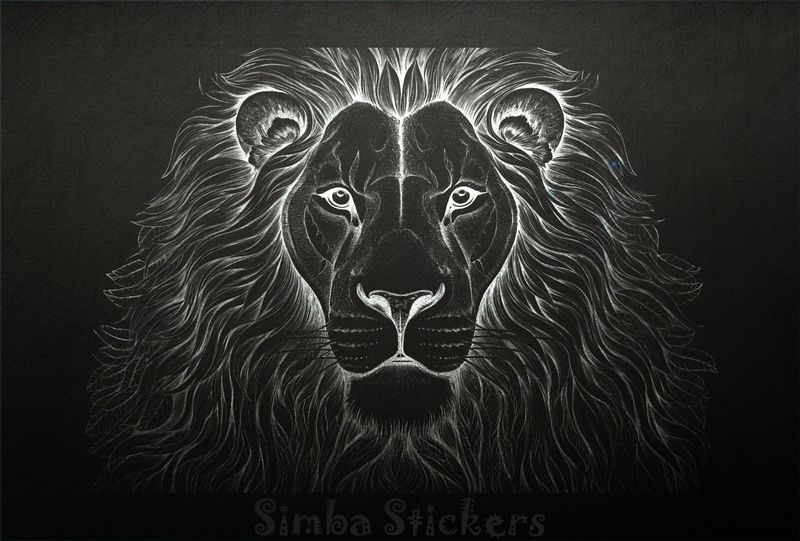 Majestic lion face with wide mane, outline art, baqmjy