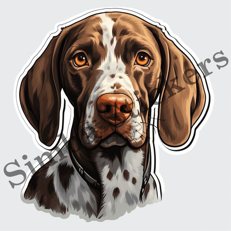 German Shorthaired Pointer dogs, image set, 10 images