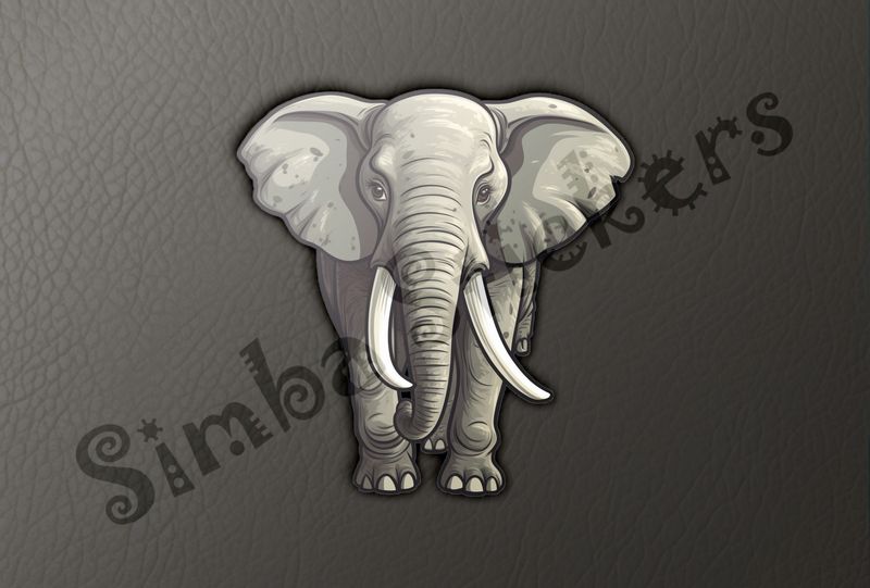 Elephant walking, directly from the front