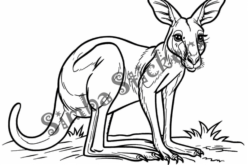 Colouring pages, Bundle of kangaroos, 25 images