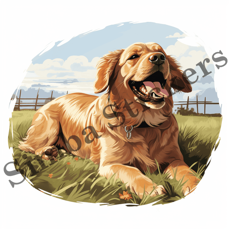 Dog in greed grass, image set, 10 images