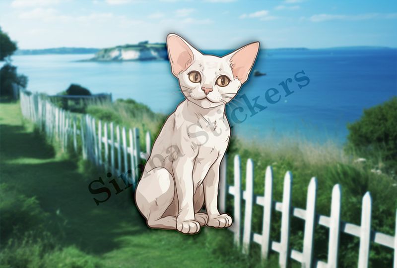 Devon Rex cat with head tilted