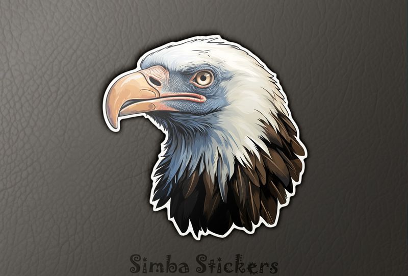 Vulture head, ju8enp