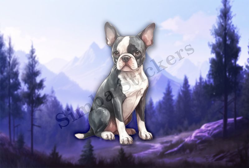 Boston Terrier dog sitting, watercolour