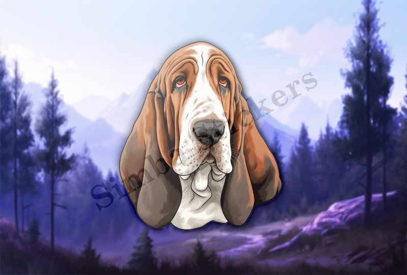 Basset Hound dog