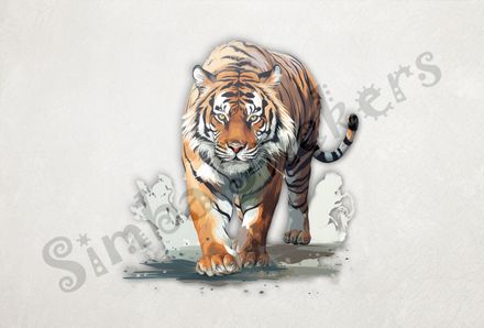 Tiger walking majestically with focused gaze